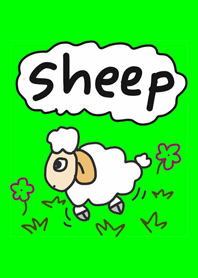 Funny sheep