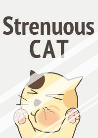 Strenuous CAT Correction ver