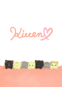 Cute&Lovely Kitten