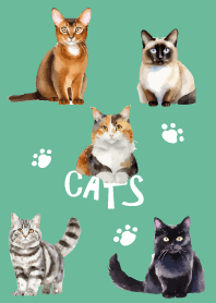 unique cats on blue green