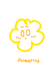 coco cloud