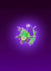 Purple Resort