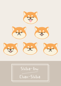 시바Chan-Shiba WV