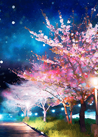 Beautiful night cherry blossoms#1496