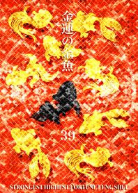 最強最高金運風水 金運の金魚 39
