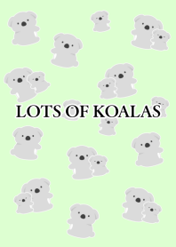 LOTS OF KOALAS/LIGHT GREEN