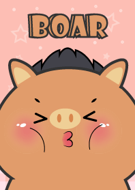 Very Cute Boar  Theme
