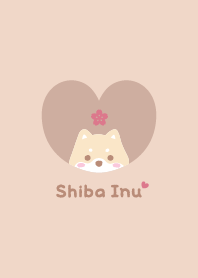 柴犬2 櫻花 [杏橙]