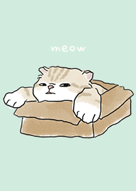 neko drawing4 - mint cream