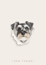 DOG - Schnauzer 01 - ecru color