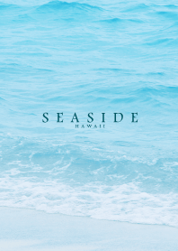 SEASIDE HAWAII - MEKYM 23