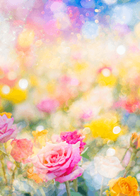 Beautiful rose flower(R3753)