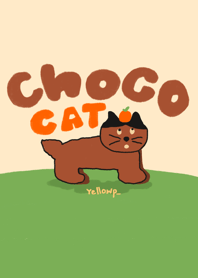Choco choco cat