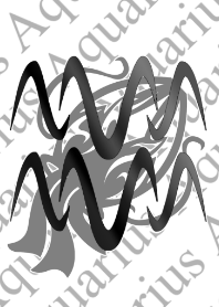 Twelve constellations -Aquarius3 white-