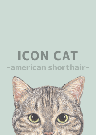 ICON CAT-American Shorthair-PASTEL GR/02