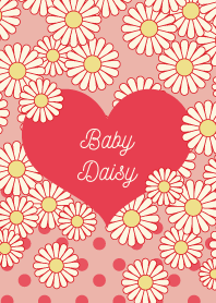 baby daisy