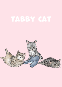 tabbycat5 / pink