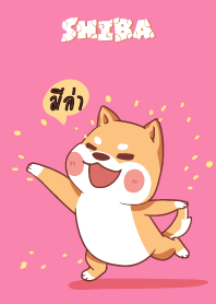 มีล่า ใครไม่บะ ชิบะ 4 V04