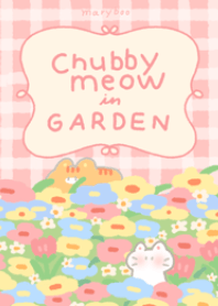 Chubby meow in garden