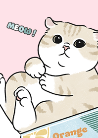 neko single17 - pink