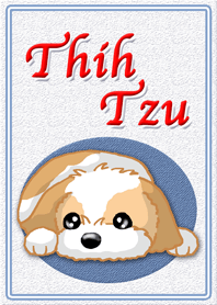 Shih Tzu シーズー 着せ替え