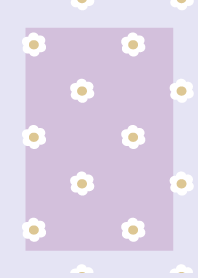 purple daisy florets dull flower