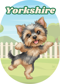 Playful Yorkshire Terrier (Brown 03)