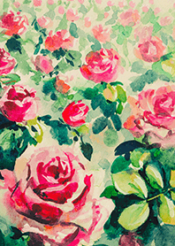 Beautiful rose flower(R4433)