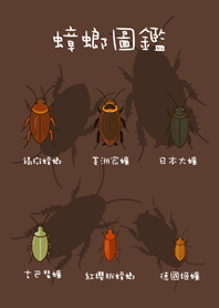 Send cockroaches to friends(dark brown)