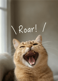 Roar!