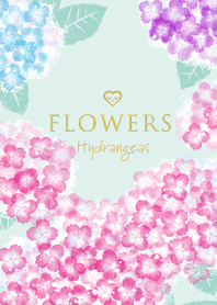 Flowers・アジサイ