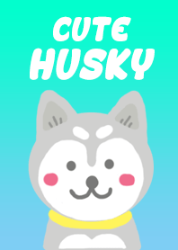 Husky Cute