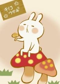 Rabbit&Mushrooms