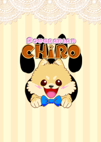 Pomeranian CHIRO and Chiro's friends.