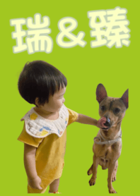 瑞&臻