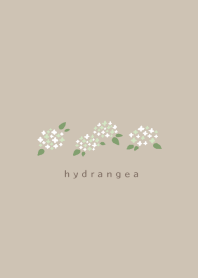 Simple flower/hydrangea(white)