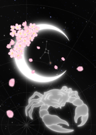 新月-巨蟹座-