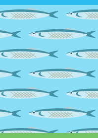 Autumn saury02 on blue