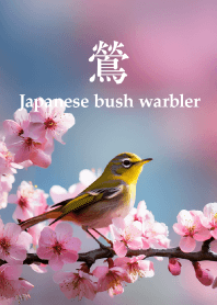 うぐいす vol.7