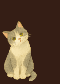 Cat tilting its head2 on brown