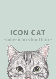 ICON CAT-American Shorthair-PASTEL GR/01