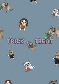 meow's halloween3 / light denim