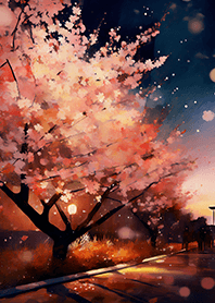 Beautiful night cherry blossoms#1437