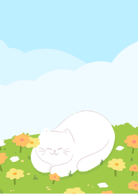 Cat among the flower fields