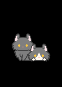 Black Curl Cat*darkmode*long-haired*