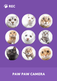 Paw Paw Camera -  Purple 01