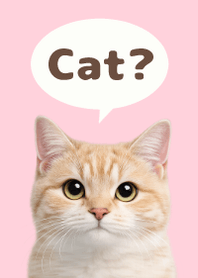 Gato Simples 2 Pink 03