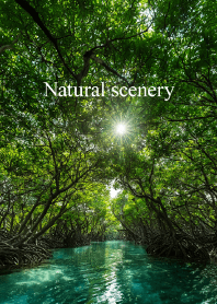 Natural scenery vol.3