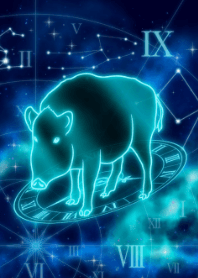 生肖猪-处女座-