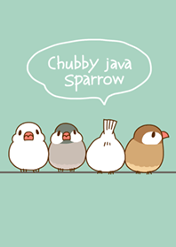 ぷくぷく文鳥